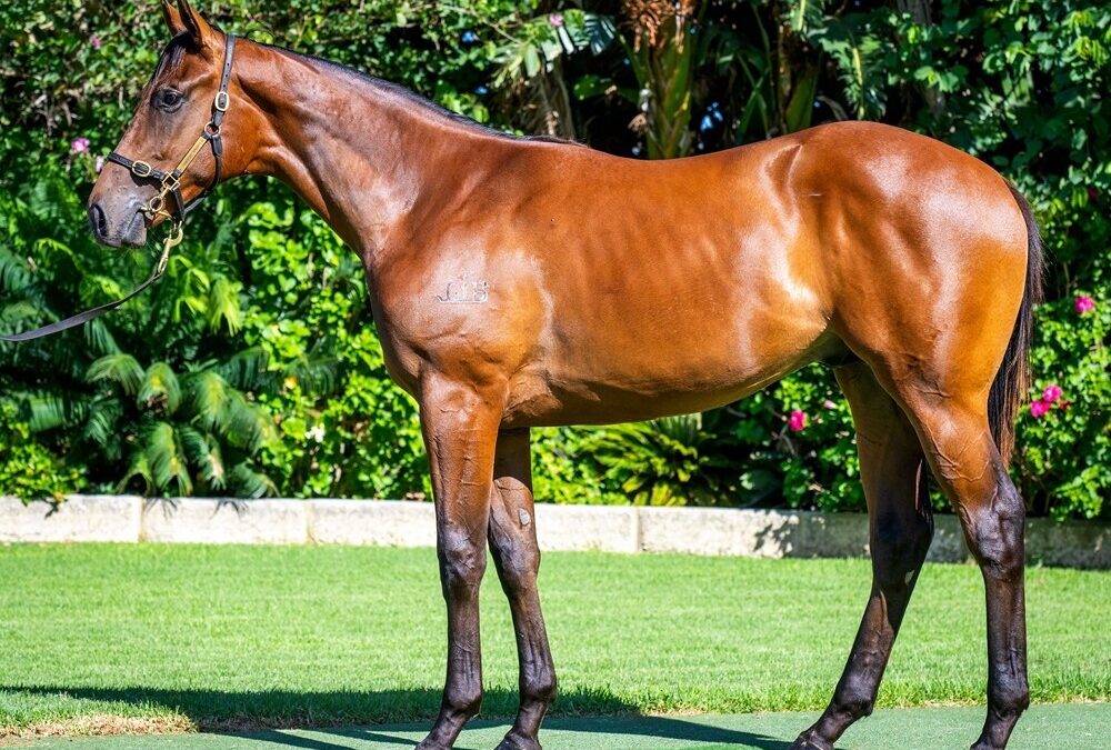 Awesome Rock X Kezzabelle